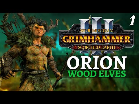 ENVIRONMENTALISM: HOW TO | SFO Immortal Empires - Total War: Warhammer 3 - Wood Elves - Orion #1