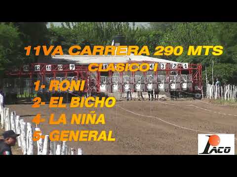 EL BICHO  HIPODROMO EL DESCUIDO EL BRETE CRUZ DEL EJE  26 2 23