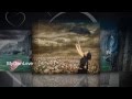 I'm the rain~Sophie Zelmani~Lyrics 