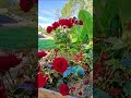video d_3Y5chMSDs