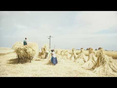 Bykowce - lata 30. XX wieku w kolorze (województwo podkarpackie) - unikatowe zdjęcia