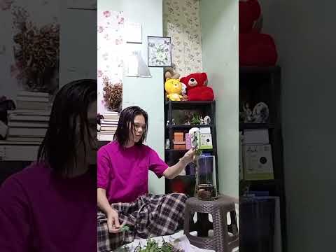 My DIY Flower arrangement 🌻