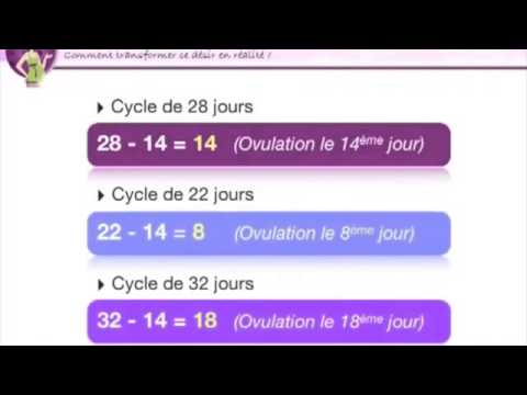 Comment calculer son cycle menstruel