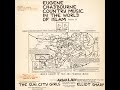 Eugene Chadbourne / Elliott Sharp / Sun City Girls - Country Music in the World of Islam (1990)