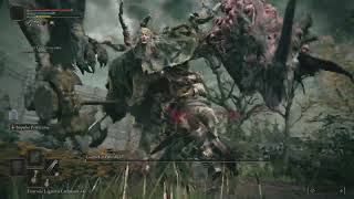 Elden ring boss Godrick o enxertado