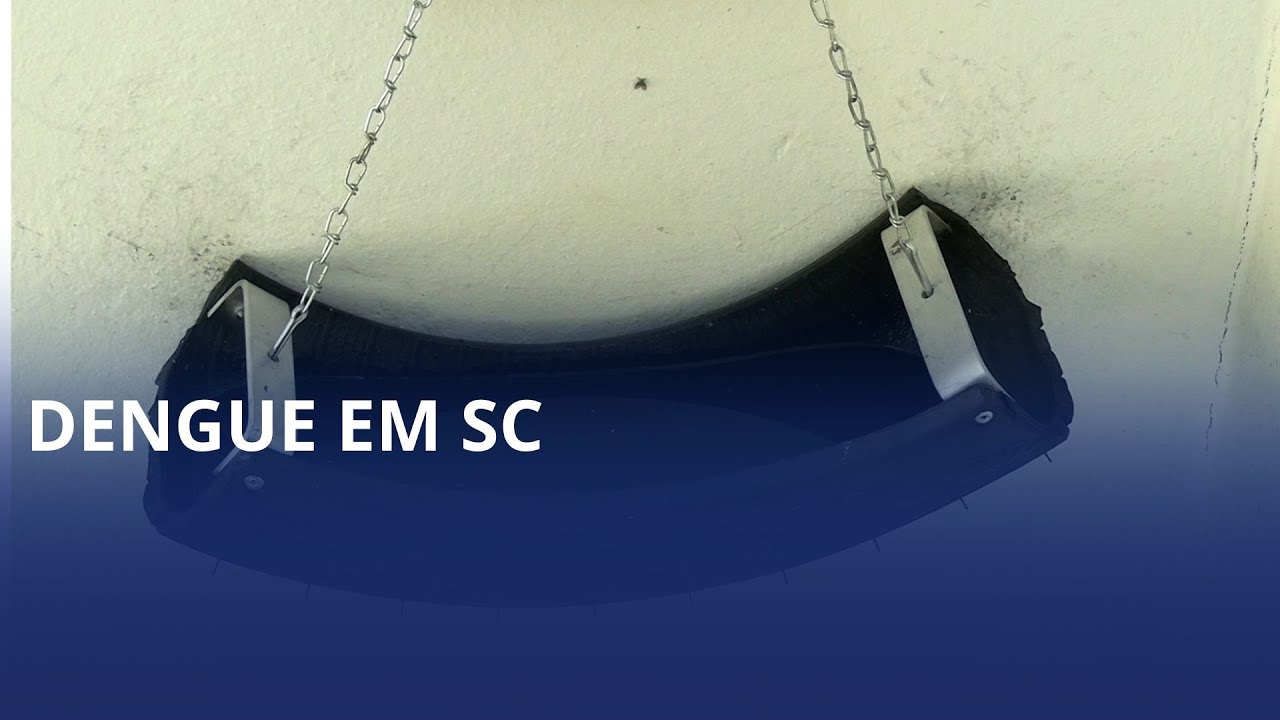 Estado registra mais de 62 mil focos do mosquito Aedes aegypti