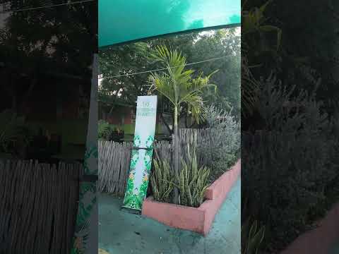 angicos RN tapiocaria coisas do sertão