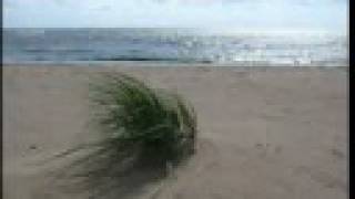 preview picture of video 'Zelenogorsk (Terijoki) beach, Russian Federation'