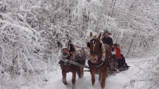 preview picture of video 'Pferdeschlittenfahrt Januar 2010'