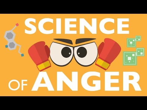THE SCIENCE OF ANGER