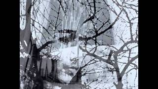 David Galstyan photo(music: Craig Armstrong)