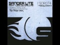 Primitive Song (The Picker Remix) - Sander Lite ...