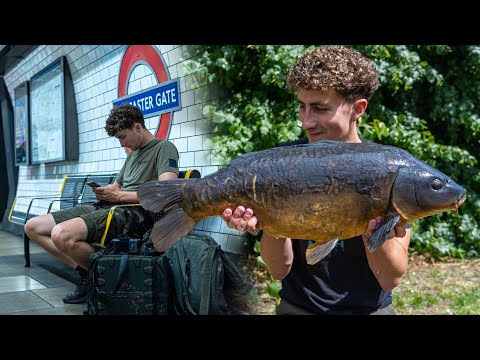 STALKING CARP IN LONDON