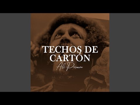 Techos De Cartón