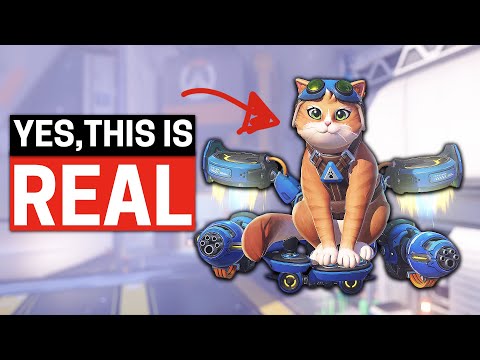 Overwatch 2 is Dropping the 2...Jetpack Cat & 10 New Heroes WTF!
