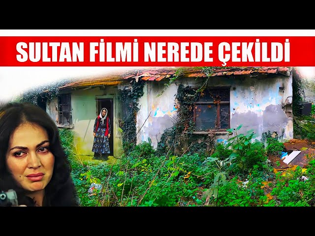 Türk'de sultan Video Telaffuz