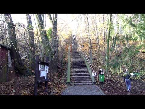 ivo klec, dominika cibulkova, kamil capkovic, maros molnar. horsky park, bratislava.workout
