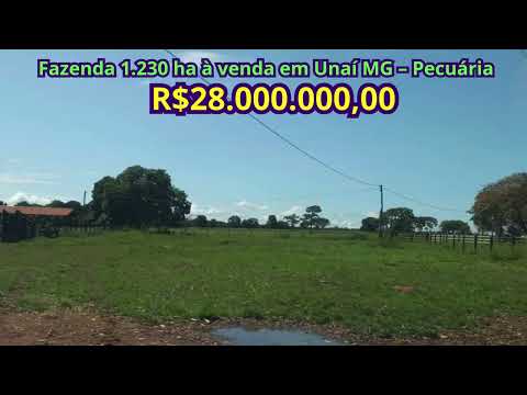 Fazenda 1 230 ha à venda em Unaí MG – Pecuária formada, 600 cabeças de gado e porteira fechada  Opor