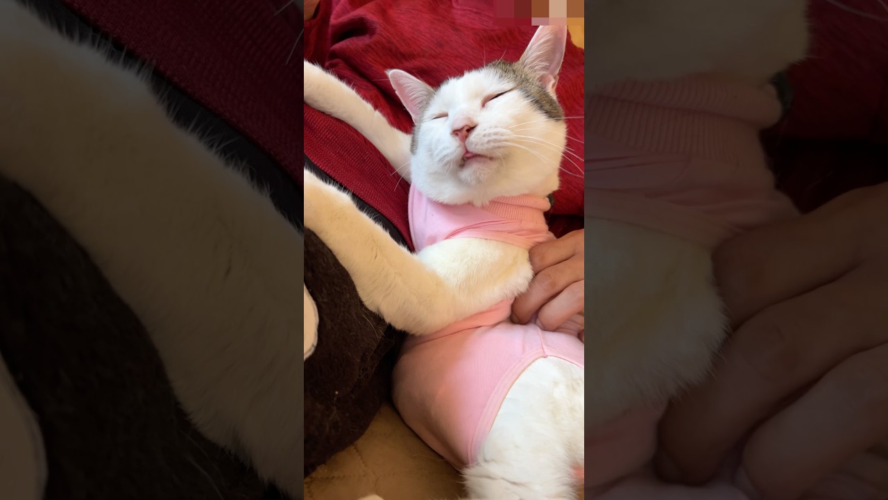 おぉ〜、そこそこ〜