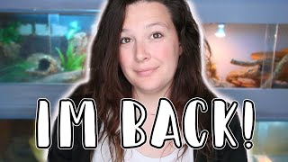 IM BACK! Let's Catch up!