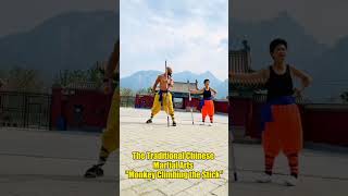 Download lagu The traditional Chinese martial arts 'Monkey Climbing the Stick' #martialarts  #china  #kungfu mp3 Download lagu The traditional Chinese martial arts 'Monkey Climbing the Stick' #martialarts  #china  #kungfu mp3