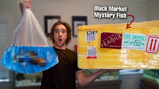 ORDERING FISH OFF The BLACK MARKET... (what&#39;s inside?)