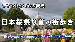 ワシントン散策｜桜まつり前の歴史を感じる街歩き
