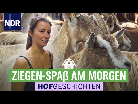 , title : 'Im Wendland geht's auf dem Ziegenhof rund | Hofgeschichten: Leben auf dem Land (247) | NDR'