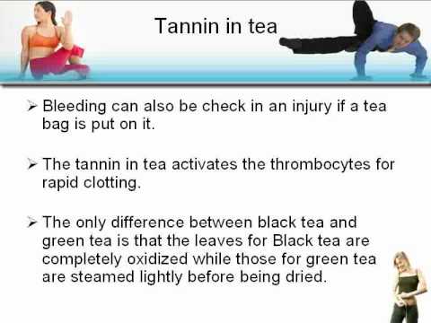 download lagu mp3 mp4 Tannin In Tea, download lagu Tannin In Tea gratis, unduh video klip Tannin In Tea