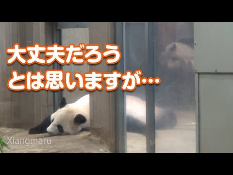 2018/8/2 可愛いけど、ちょっと心配なシンシンママ＾＾；