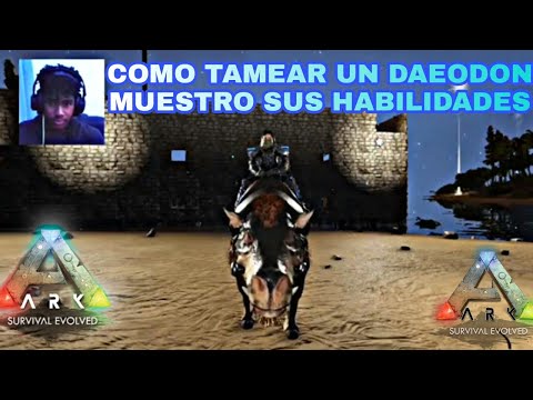 Capítulo 34 COMO TAMEAR UN DAEODON O JABALÍ MUESTRO SUS HABILIDADES ARK