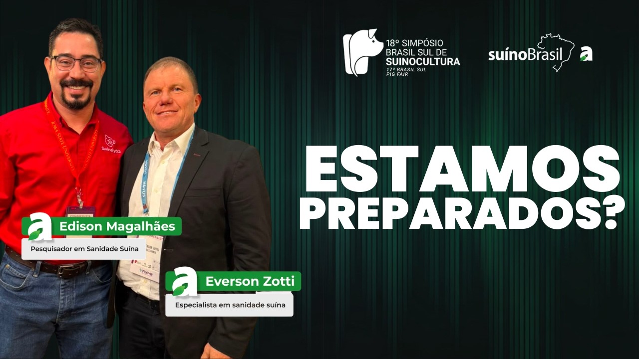 Brasil está preparado para uma nova crise sanitária na suinocultura?