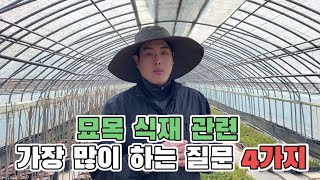식재 관련 가장 많이 질문하는 4가지