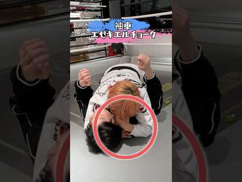 マウントポジションからの必殺技３選！Top 3 Submissions from the Mount #jiujitsu #bjj #柔術