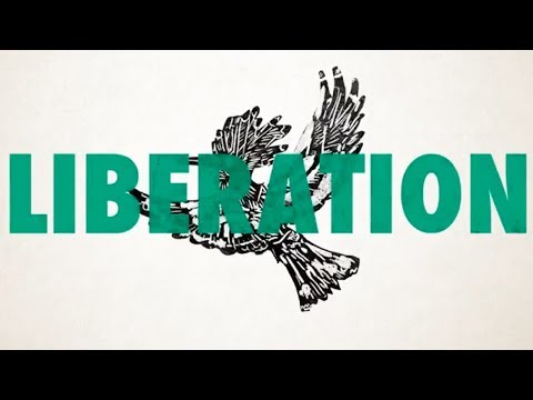 Alpha Steppa - Liberation