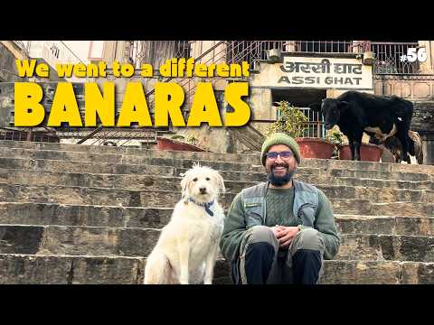 Banaras is Magical but difficult to roam with a dog