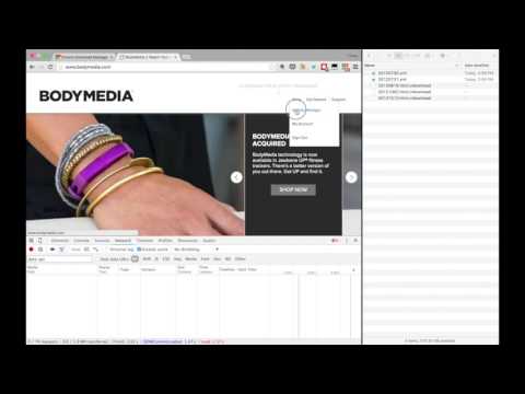 Exporting: Moving Your Digital Assets Out of Vibepedia | Vibepedia