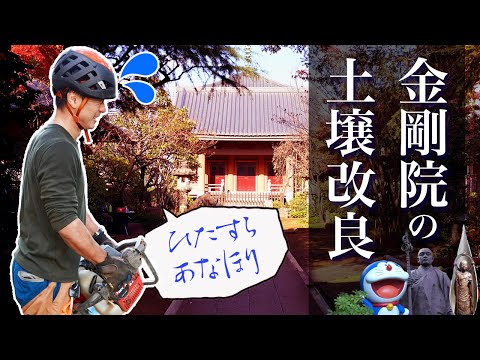 金剛院 様の事例