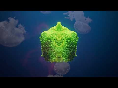 Taavi - Empelon 5 (Digital Nomads Records)