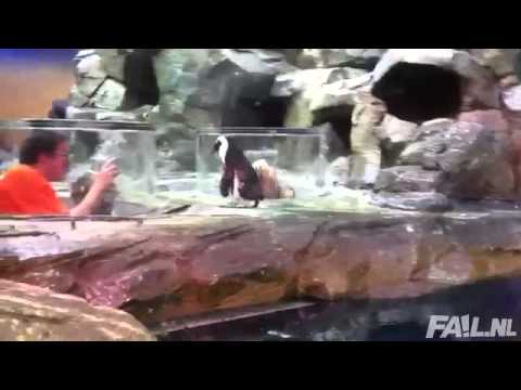 Mother lifts her child fail may 2013