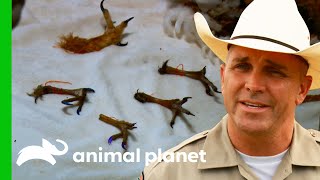 A Wildlife Crime Turns Into A Narcotics Operation | Lone Star Law
