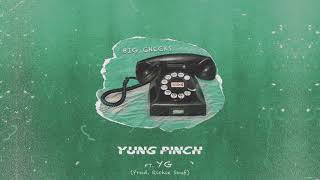 Yung Pinch - Big Checks Feat. YG (Prod. Richie Souf) [Official Animation Video)