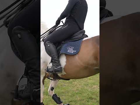 🚨 Is your saddle too wide? Here’s how to tell! 🚨#SaddleFitTip #EquestrianTips #SaddleFit