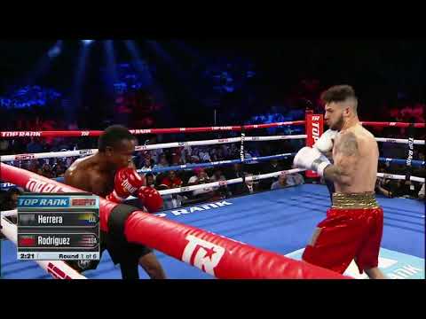 Hammer Hands Is BACK!