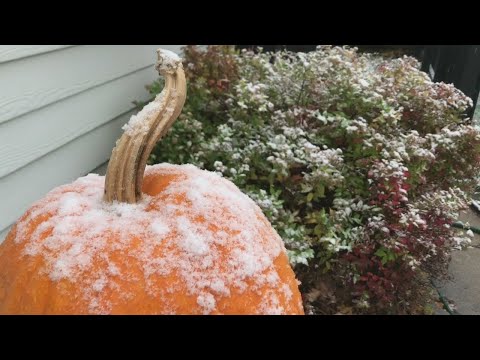Snow Fall Has Minnesotans Excited, Apprehensive