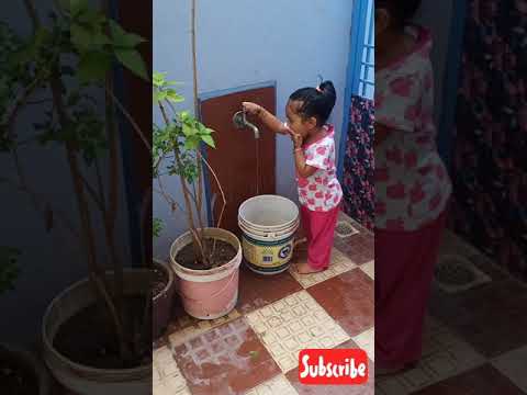 one year old eating Tulsi leaves | Baby eating Basil leaves | Hasitha eating Tulsi leaves