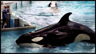 In the Morning I'll Be Gone