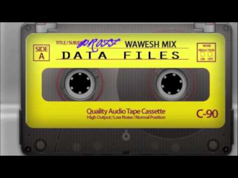 Proff-Data Wawesh Remix