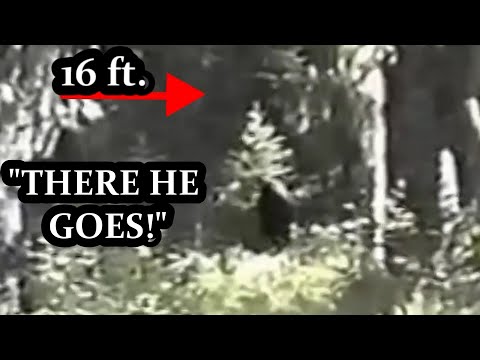 The Freeman Footage: Best Bigfoot Evidence
