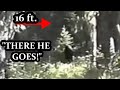 The Freeman Footage Best Bigfoot Evidence